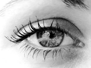 eye-1435279-1280x960